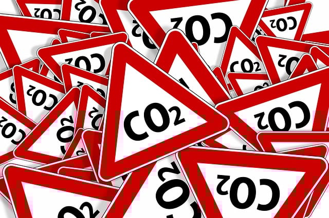 co2 prezzo mercato permessi di emissione